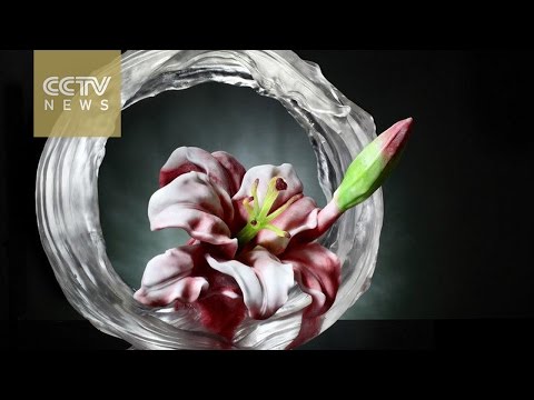 Chinese glass flower blossoms in Belgium Hqdefault