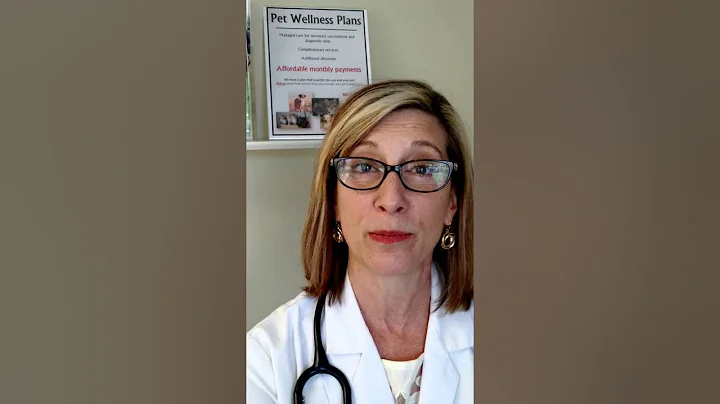 Ask the Vet: Do indoor cats really need heartworm & flea/tick protection?