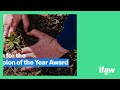 Do you know a Climate Champion who deserves an award?