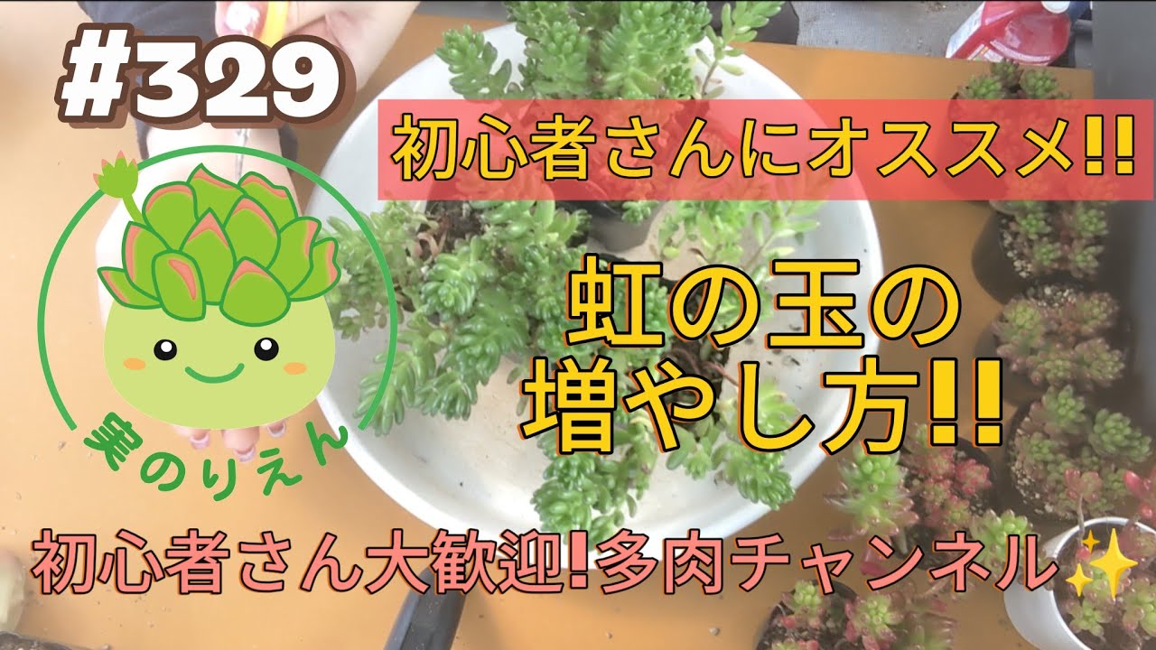 329 入手しやすい虹の玉を増やします! - YouTube