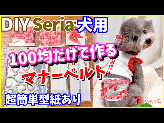 Super Easy DIY Dog Clothes] How to Make a Trendy Dog Manners Belt
