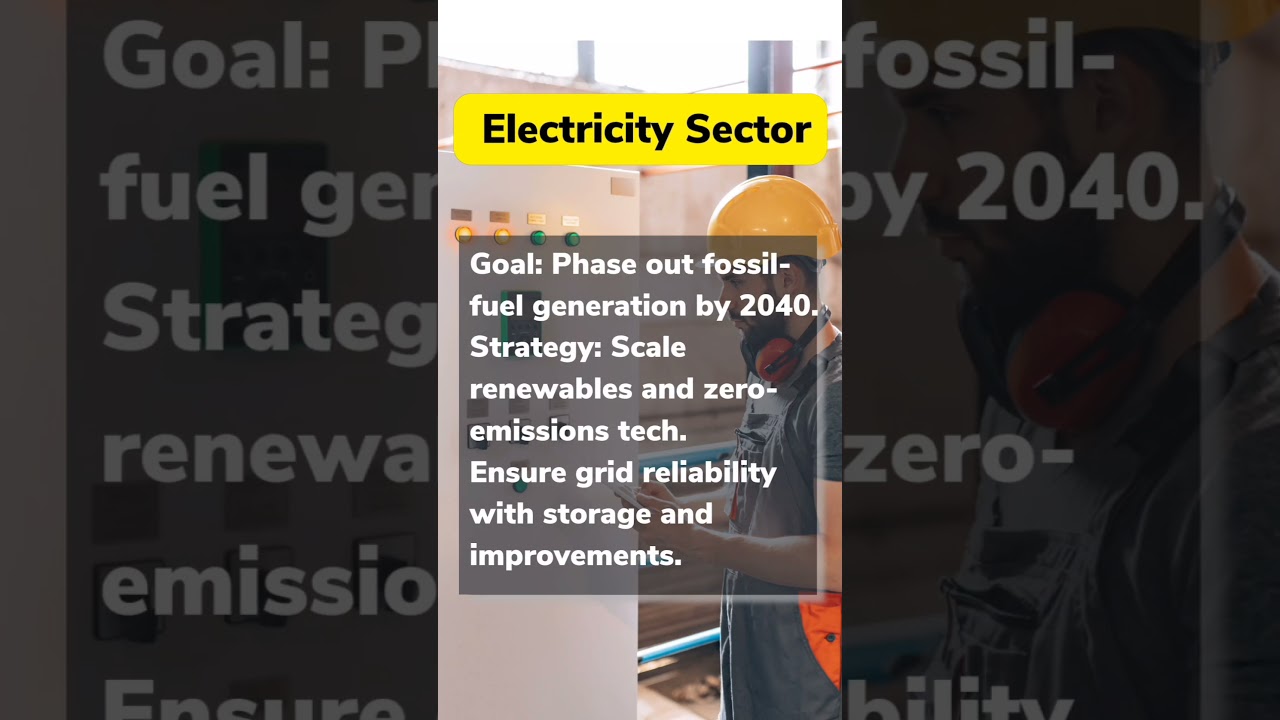 Achieving Net Zero by 2050 🌍
