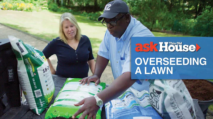 How to Fix a Dead Lawn by Overseeding | Ask This Old House