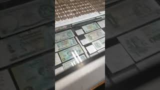 Old English money (£1 pound notes)