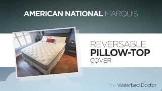 American National Marquis Soft Side Waterbed Mattress offered by The Waterbed Doctor