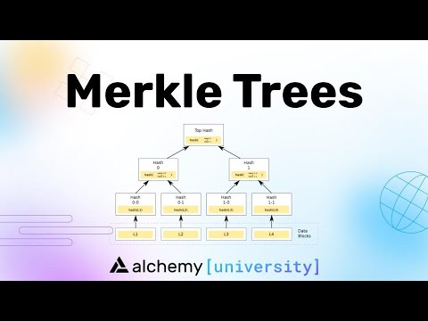 Merkle Trees Are Efficient! - Alchemy University