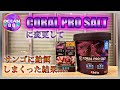 【海水魚水槽・サンゴ水槽】コーラルプロソルト（CORAL PRO SALT）に変更してサンゴに給餌しまくった結果...