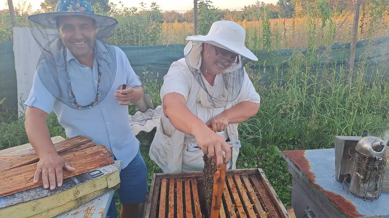 Dumitru Oprea/ Felicia Românu / Joni Belciu/ Zavoianu  Emanuel/ Tică  Hogea . Vizita  frumoasă .