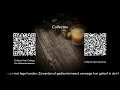 Live Stream Kerkdienst Hervormde Gemeente Besoyen