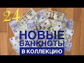 Новые Банкноты в коллекцию  24