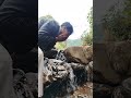 Relaxing with nature