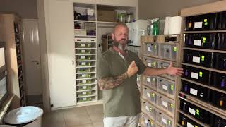 Ball python breeding guide as requested for SA breeders. Part 3: Pairings, cycling males etc
