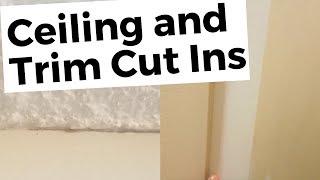 How to Do Ceiling, Corner, and Trim Cut Ins