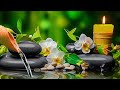 Relaxing Music for Sleep, Focus and Healing 🌿 Calming Nature Sounds for Work, Meditation and Peace