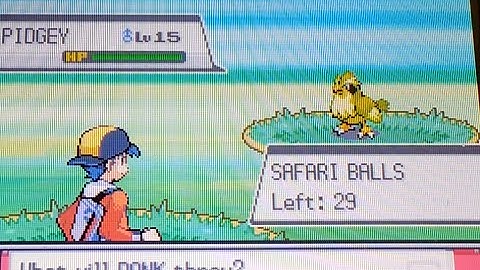 (Safari Week) Shiny Pidgey appears in the Safari Zone! Win or Fail!?