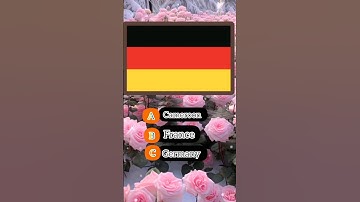 Name the flags | flag quiz.  #shorts #viral #quiz #trending #guesstheflag #challenge #flags #funny