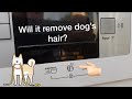 Stress test/experiment: Is PetHair removal option actually working?