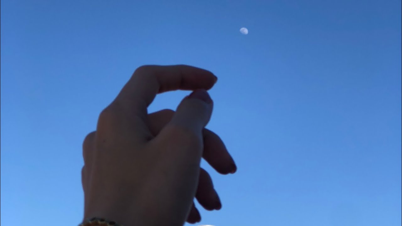 Wonderful World HONNE YouTube