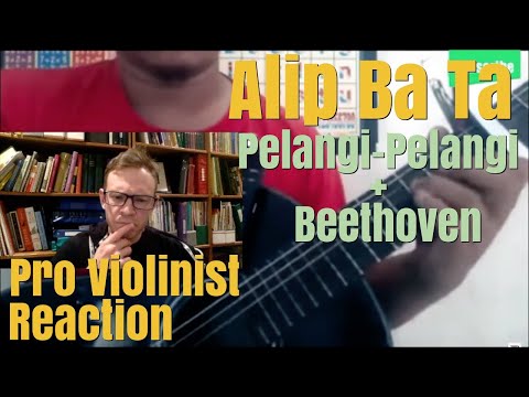 Alip Ba Ta, "Beethoven Fur Elise" and "Pelangi-Pelangi," Pro Violinist Reaction
