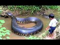 Nature’s Scale Is Hard to Believe