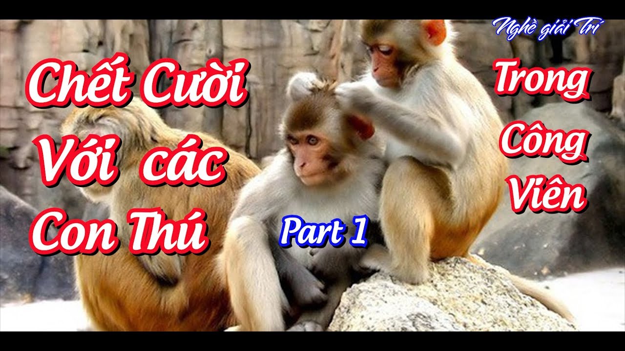 ✓ Thăm Con Thú Cực Vui | Trong Công Viên Thủ Lệ Hà Nội - Youtube