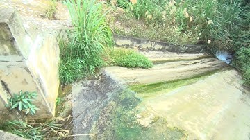 Lao động xã hội: Trách nhiệm của doanh nghiệp với xã hội trong vấn đề bảo vệ môi trường