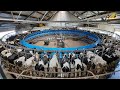 1000 Kühe melken im 80ziger Melkkarussell Tiere füttern Visiting a 80 Stall Rotary Milking Parlor