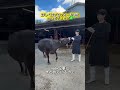 【🥩販売終了のお知らせ】たくさんのご購入ありがとうございました!