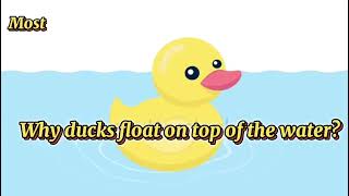 Do You Know Why? Trivia For Kids: Why ducks float Do You Know Why? Trivia For Kids: Why ducks float