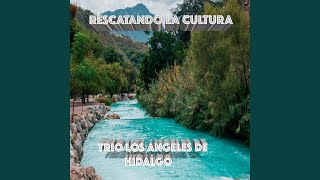 Video voorbeeld van "Trio Los Angeles De Hidalgo - Rescatando la Cultura"