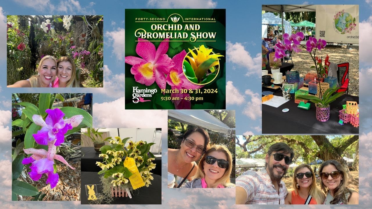 Flamingo Gardens Orchid & Bromeliad Show 2024