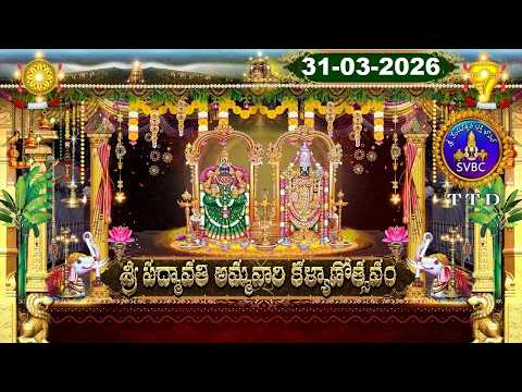 Sri Padmavathi Ammavari Kalyanotsavam || Tiruchanoor || 31-03-2026 || SVBC TTD