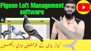 Loft Manager software 2022 | Pigeon Loft Management software in 2022 | Pigeon Loft Management 2022 screenshot 4