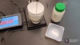Lab 20 Enthalpy Change of Soution