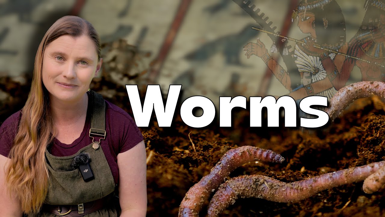 Почему черви — тайные герои вашего двора!