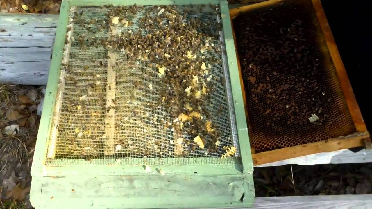 Storing Beekeeping Equipment YouTube