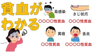 【貧血】この疾患について最短で勉強したい方はコチラ　医療系学生必見！