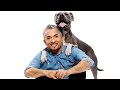 3 Essential Dog Training Tips from Cesar Millan 3 Essential Dog Training Tips from Cesar Millan