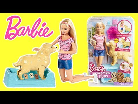 new-barbie-newborn-pups---are-they-boys-or-girls???