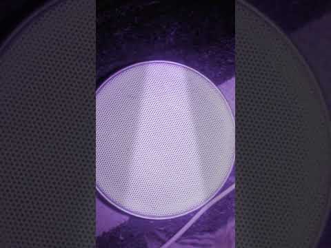 Cheikh Mamou الشيخ مامو هني قلبي يا مرا بكلمة نبغيك