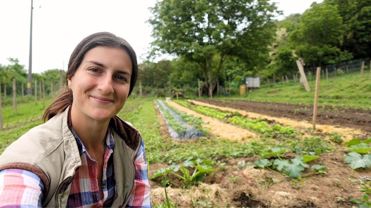 ЖИВОТ HА СЕЛО: Спираме да орем и да фрезоваме! 🚜🛑 + Направихме си сушилня за билки 🌿