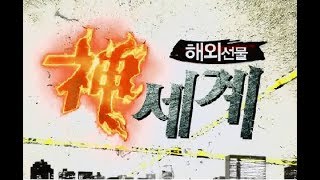20180803_해외선물 신세계_250회