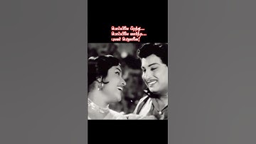 🎶♥MGR vintage song | Poiyile piranthu | #tms | #psusheela | #mgr | #devika | #old | #video | #song