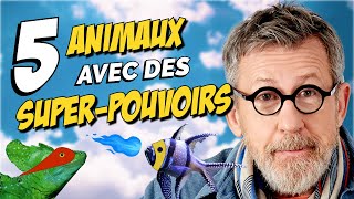 5 animaux avec des SUPERPOUVOIRS  | TOP 5