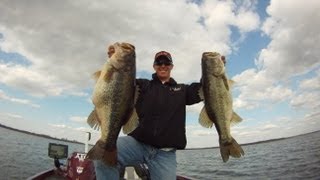 Alabama Rig 25 lbs of Bass in 2 Casts