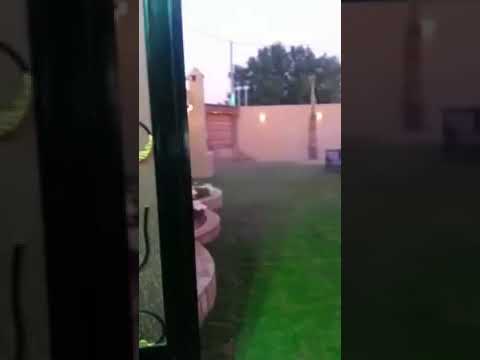 شاهد منزل وداد بابكر بكافوري 