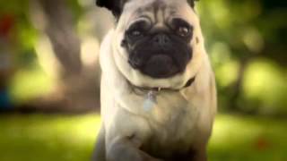 Doritos USA TODAY Ad Meter 2011