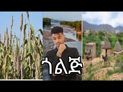 ጎልጅ Golij Vlog Fyp Habesha Eritrian Travelblog 