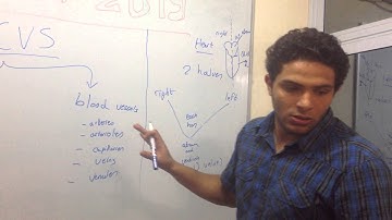 Introduction to CVS I