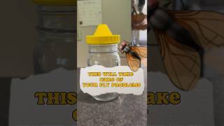 How To Save Yourself From Flys 3Dprinted Flytrap.